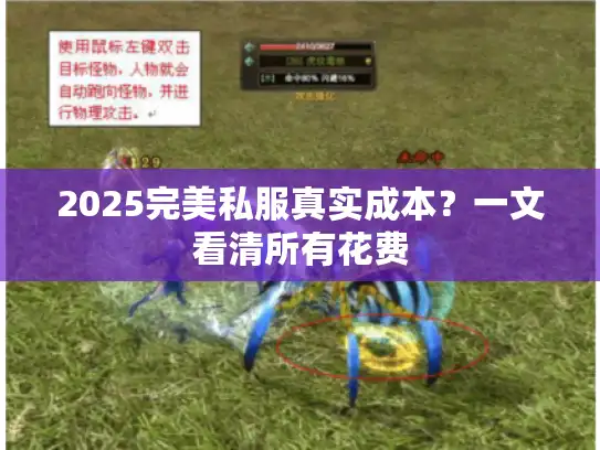 2025完美私服真实成本？一文看清所有花费