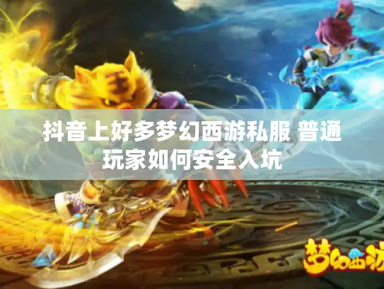 抖音上好多梦幻西游私服 普通玩家如何安全入坑