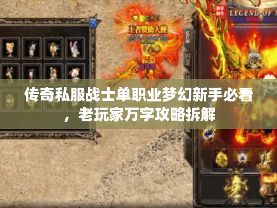 传奇私服战士单职业梦幻新手必看，老玩家万字攻略拆解