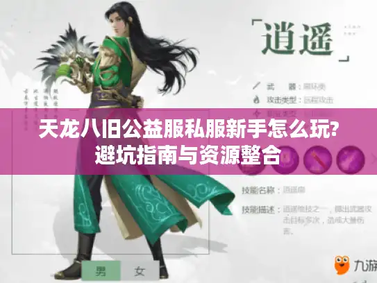 天龙八旧公益服私服新手怎么玩?避坑指南与资源整合