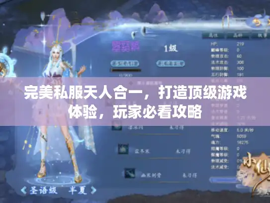 完美私服天人合一，打造顶级游戏体验，玩家必看攻略