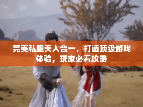 完美私服天人合一，打造顶级游戏体验，玩家必看攻略