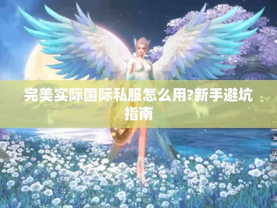 完美实际国际私服怎么用?新手避坑指南