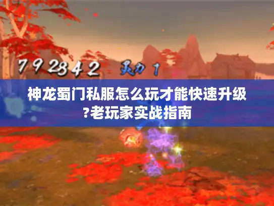 神龙蜀门私服怎么玩才能快速升级?老玩家实战指南