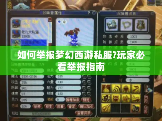 如何举报梦幻西游私服?玩家必看举报指南