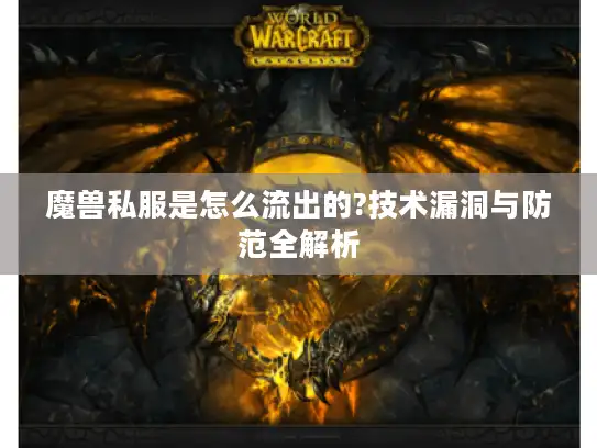 魔兽私服是怎么流出的?技术漏洞与防范全解析