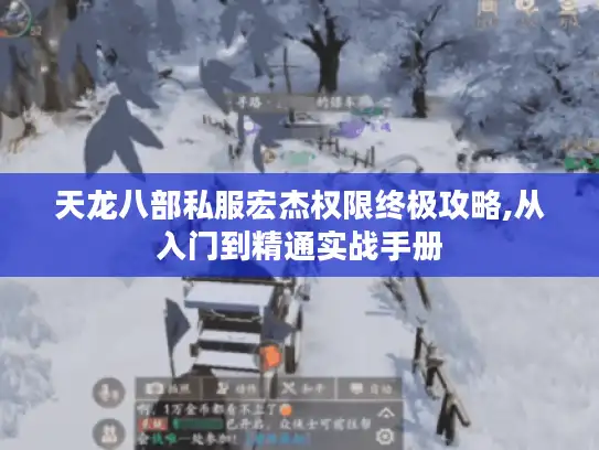 天龙八部私服宏杰权限终极攻略,从入门到精通实战手册