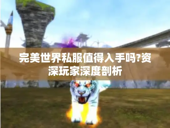 完美世界私服值得入手吗?资深玩家深度剖析