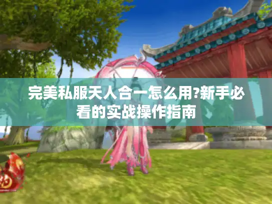 完美私服天人合一怎么用?新手必看的实战操作指南 完美私服天人合一怎么用?新手必看的实战操作指南