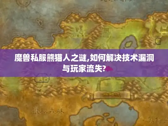 魔兽私服熊猫人之谜,如何解决技术漏洞与玩家流失?
