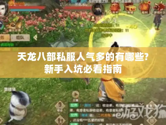 天龙八部私服人气多的有哪些?新手入坑必看指南