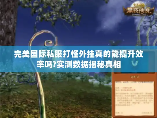 完美国际私服打怪外挂真的能提升效率吗?实测数据揭秘真相