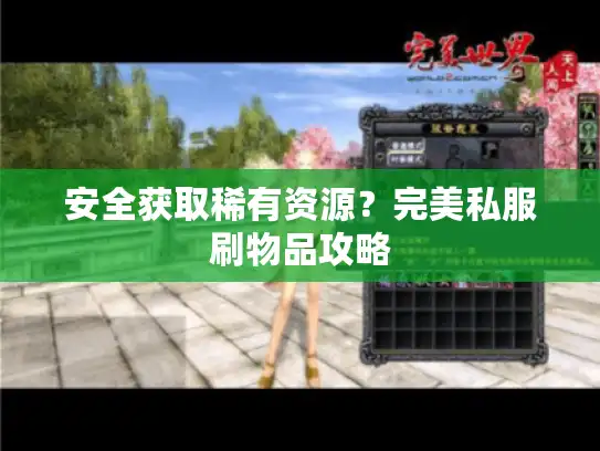 安全获取稀有资源？完美私服刷物品攻略