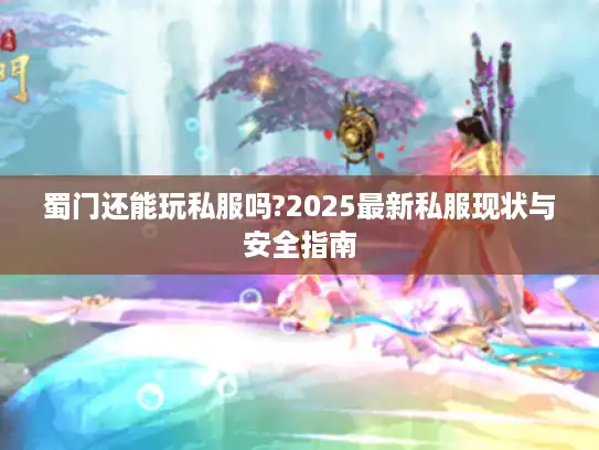 蜀门还能玩私服吗?2025最新私服现状与安全指南