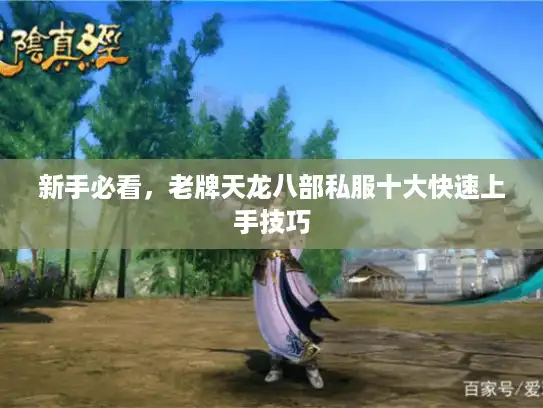 新手必看,老牌天龙八部私服十大快速上手技巧 新手必看,老牌天龙八部私服十大快速上手技巧