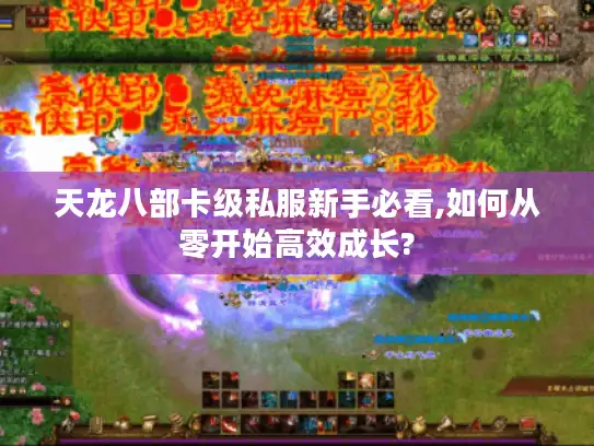 天龙八部卡级私服新手必看,如何从零开始高效成长?