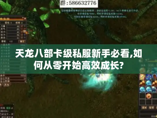 天龙八部卡级私服新手必看,如何从零开始高效成长?