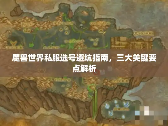 魔兽世界私服选号避坑指南,三大关键要点解析 魔兽世界私服选号避坑指南,三大关键要点解析