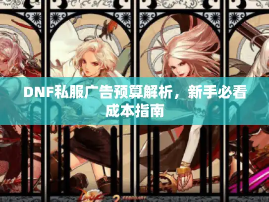 DNF私服广告预算解析，新手必看成本指南