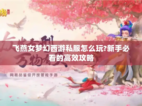 飞燕女梦幻西游私服怎么玩?新手必看的高效攻略