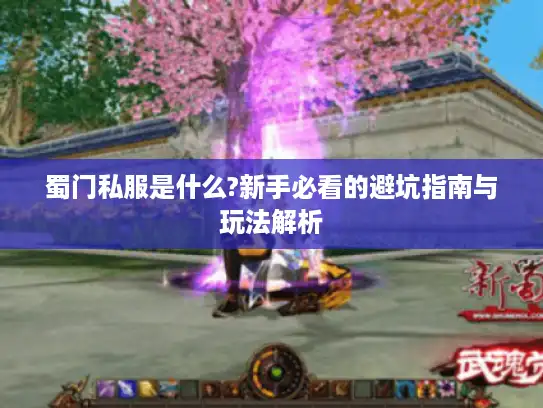 蜀门私服是什么?新手必看的避坑指南与玩法解析