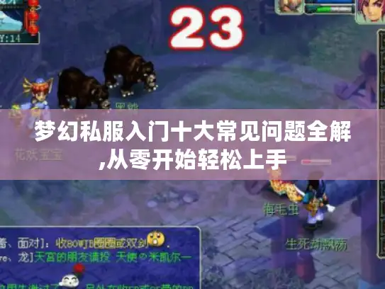 梦幻私服入门十大常见问题全解,从零开始轻松上手 梦幻私服入门十大常见问题全解,从零开始轻松上手