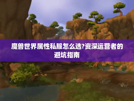 魔兽世界属性私服怎么选?资深运营者的避坑指南 魔兽世界属性私服怎么选?资深运营者的避坑指南
