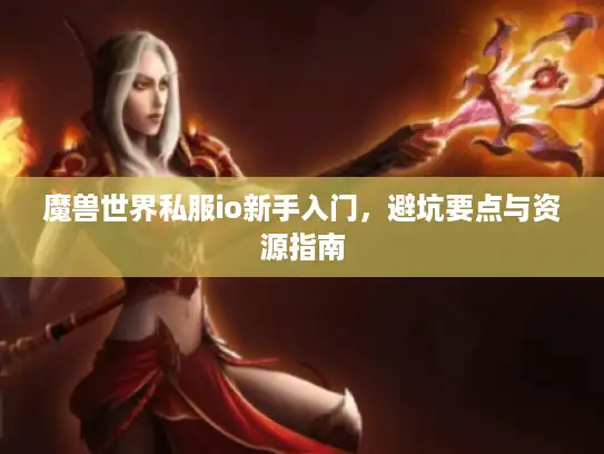 魔兽世界私服io新手入门，避坑要点与资源指南