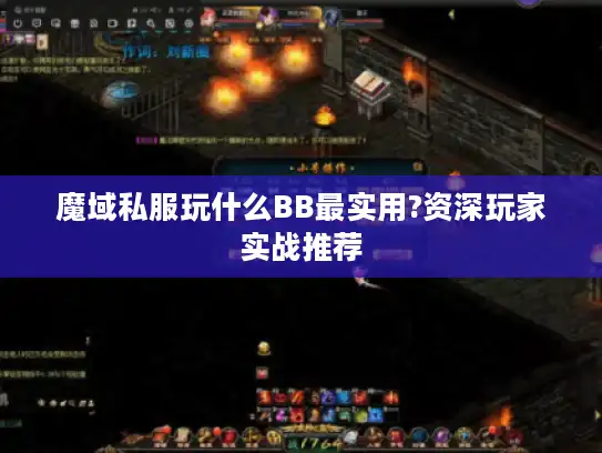 魔域私服玩什么BB最实用?资深玩家实战推荐