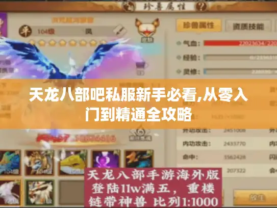 天龙八部吧私服新手必看,从零入门到精通全攻略