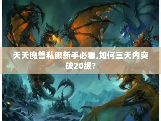 天天魔兽私服新手必看,如何三天内突破20级?