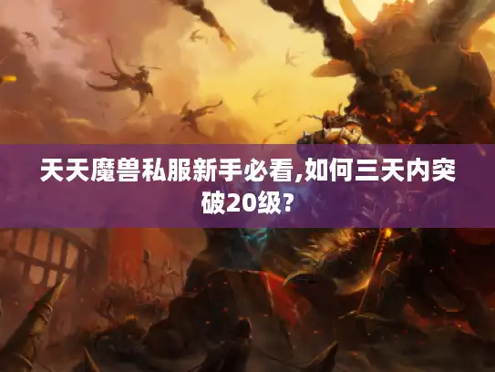 天天魔兽私服新手必看,如何三天内突破20级?