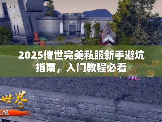2025传世完美私服新手避坑指南,入门教程必看 2025传世完美私服新手避坑指南,入门教程必看