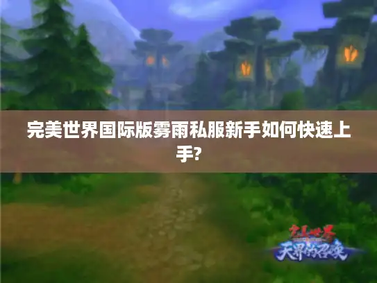 完美世界国际版雾雨私服新手如何快速上手?