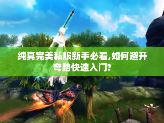纯真完美私服新手必看,如何避开弯路快速入门?