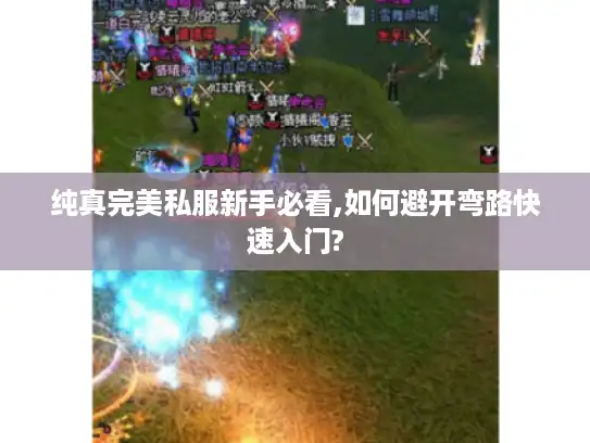 纯真完美私服新手必看,如何避开弯路快速入门?