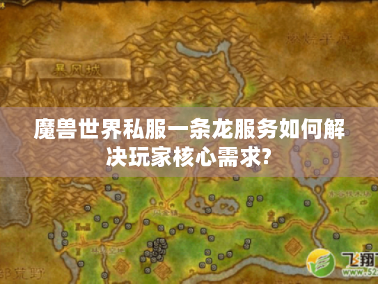 魔兽世界私服一条龙服务如何解决玩家核心需求?