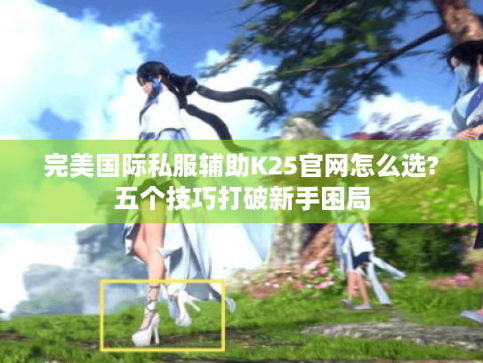 完美国际私服辅助K25官网怎么选?五个技巧打破新手困局 完美国际私服辅助K25官网怎么选?五个技巧打破新手困局