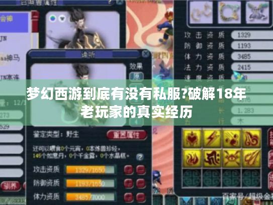 梦幻西游到底有没有私服?破解18年老玩家的真实经历 梦幻西游到底有没有私服?破解18年老玩家的真实经历