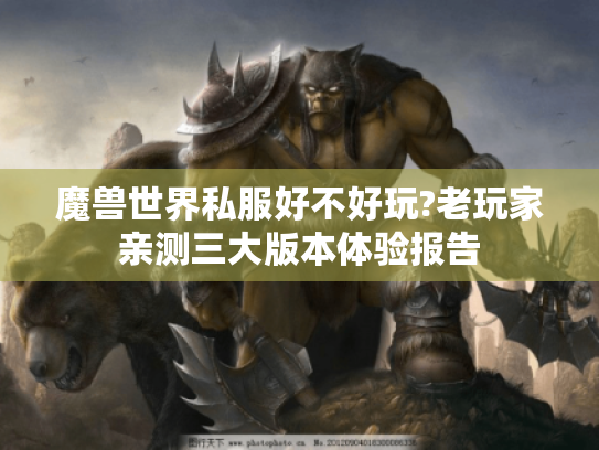 魔兽世界私服好不好玩?老玩家亲测三大版本体验报告 魔兽世界私服好不好玩?老玩家亲测三大版本体验报告