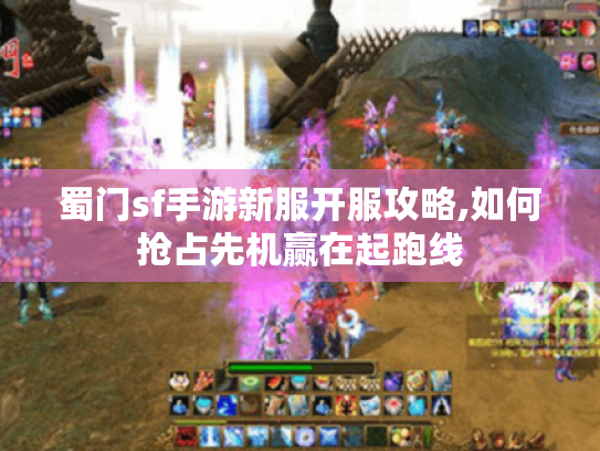 蜀门sf手游新服开服攻略,如何抢占先机赢在起跑线
