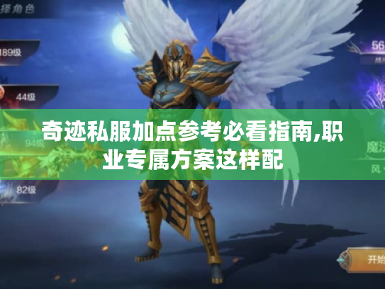 奇迹私服加点参考必看指南,职业专属方案这样配
