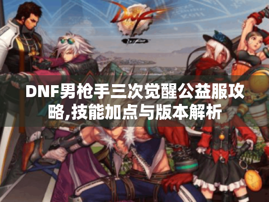 DNF男枪手三次觉醒公益服攻略,技能加点与版本解析