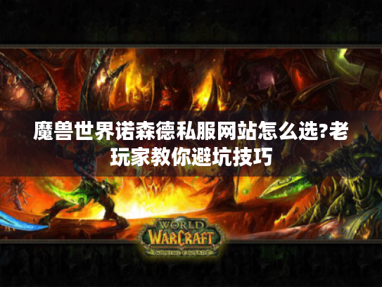 魔兽世界诺森德私服网站怎么选?老玩家教你避坑技巧 魔兽世界诺森德私服网站怎么选?老玩家教你避坑技巧