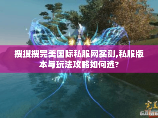搜搜搜完美国际私服网实测,私服版本与玩法攻略如何选?