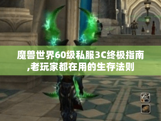 魔兽世界60级私服3C终极指南,老玩家都在用的生存法则 魔兽世界60级私服3C终极指南,老玩家都在用的生存法则