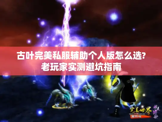 古叶完美私服辅助个人版怎么选?老玩家实测避坑指南