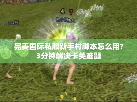 完美国际私服新手村脚本怎么用?3分钟解决卡关难题 完美国际私服新手村脚本怎么用?3分钟解决卡关难题