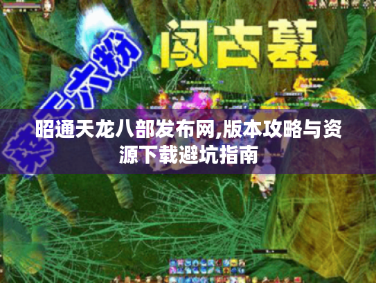昭通天龙八部发布网,版本攻略与资源下载避坑指南