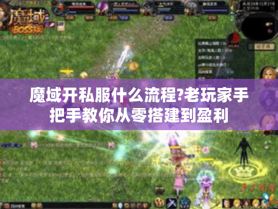 魔域开私服什么流程?老玩家手把手教你从零搭建到盈利